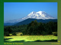 Mt Rainier Photo